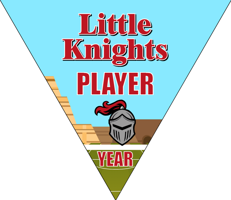 Little Knights Soccer Banner-soccer-team-banner-picture