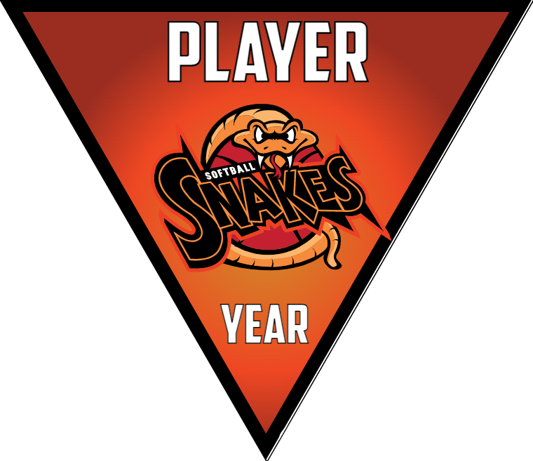 snakes 2-red-yellow-triangle-softball-team-banners-picture