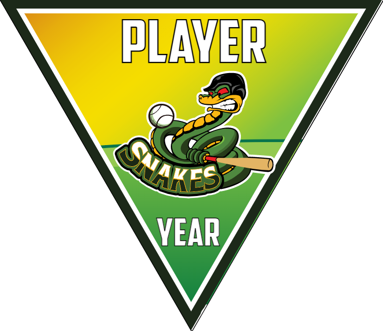 Snakes-green-yellow-triangle-softball-team-banner-picture