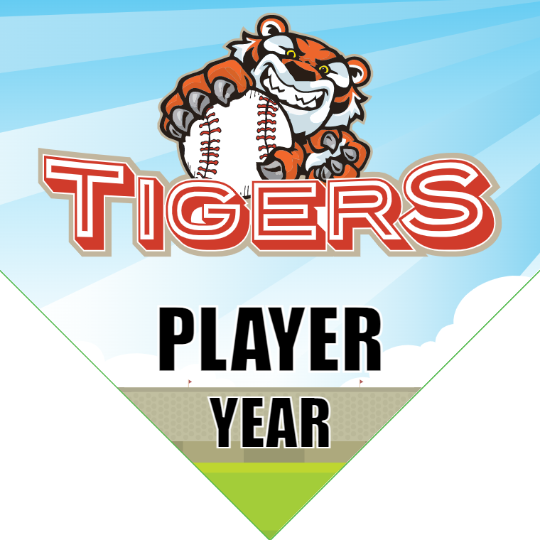 Tiger-blue-cute-home-softball-banners-pennants-picture