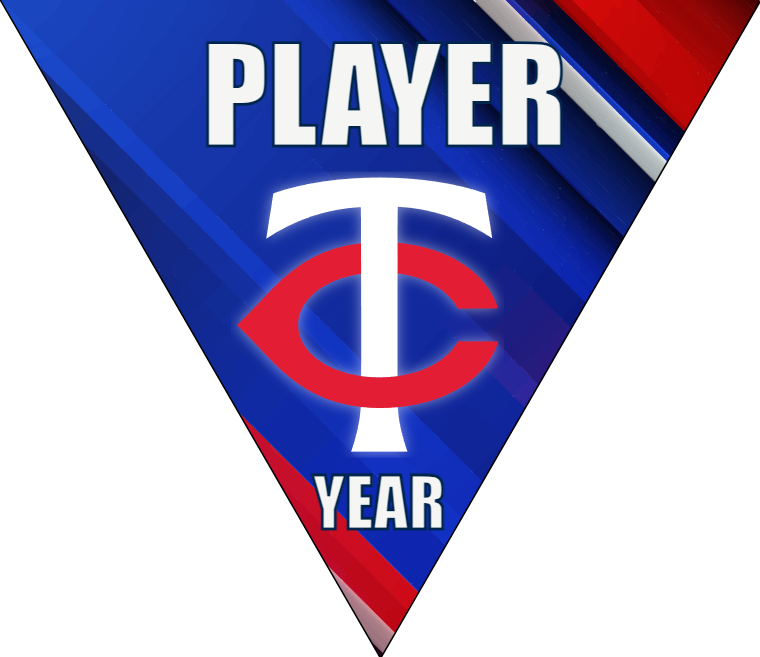 Minnesota Twins Baseball Banner