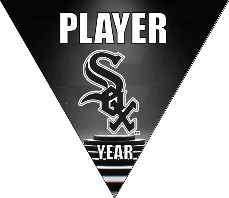 Sox 6 Baseball Banner